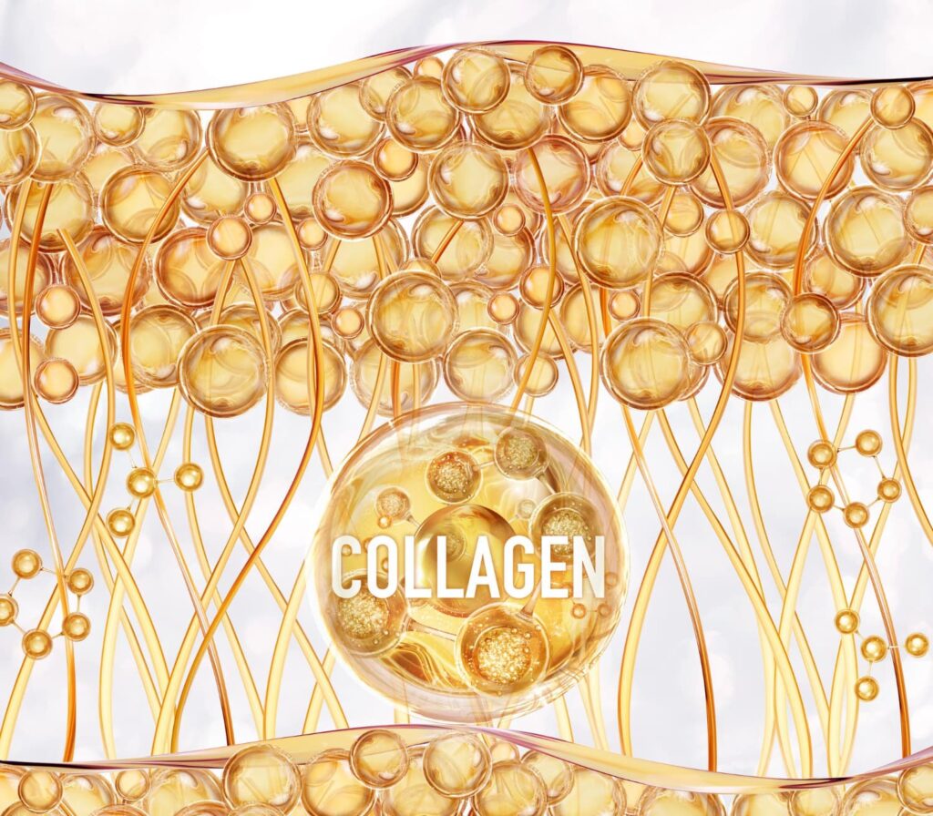 kolagen-suplement-ilustracija